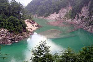 �������q���b�e�`���̓n���`���b�W������`�����_�� | �k�A���v�X�������c��