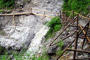 �������q���b�e�`���̓n���`���b�W������`�����_�� | �k�A���v�X�������c��