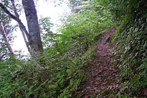 �������q���b�e�`���̓n���`���b�W������`�����_�� | �k�A���v�X�������c��