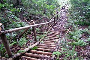 �������q���b�e�`���̓n���`���b�W������`�����_�� | �k�A���v�X�������c��