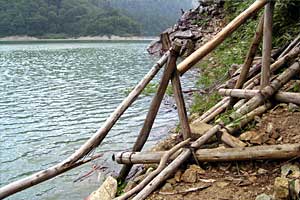 �������q���b�e�`���̓n���`���b�W������`�����_�� | �k�A���v�X�������c��