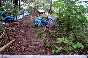 �������q���b�e�`���̓n���`���b�W������`�����_�� | �k�A���v�X�������c��