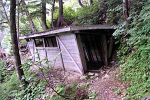 �������q���b�e�`���̓n���`���b�W������`�����_�� | �k�A���v�X�������c��