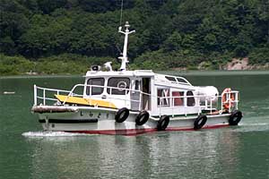 �������q���b�e�`���̓n���`���b�W������`�����_�� | �k�A���v�X�������c��