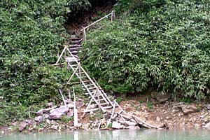 �������q���b�e�`���̓n���`���b�W������`�����_�� | �k�A���v�X�������c��