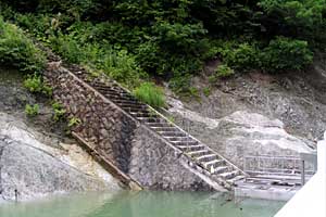 �������q���b�e�`���̓n���`���b�W������`�����_�� | �k�A���v�X�������c��