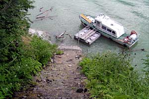 �������q���b�e�`���̓n���`���b�W������`�����_�� | �k�A���v�X�������c��