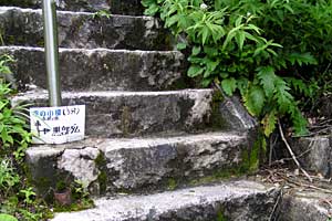 �������q���b�e�`���̓n���`���b�W������`�����_�� | �k�A���v�X�������c��