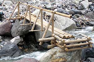 �������q���b�e�`���̓n���`���b�W������`�����_�� | �k�A���v�X�������c��