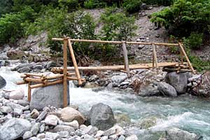 �������q���b�e�`���̓n���`���b�W������`�����_�� | �k�A���v�X�������c��