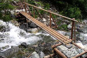 �������q���b�e�`���̓n���`���b�W������`�����_�� | �k�A���v�X�������c��