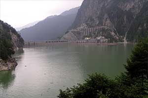 �������q���b�e�`���̓n���`���b�W������`�����_�� | �k�A���v�X�������c��