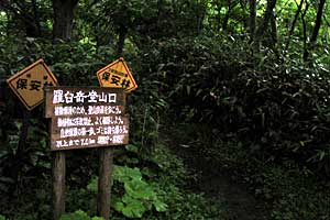 ���P����`������`����`���P���`���P�x | �k�C�����P�x�o�R