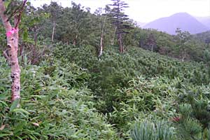 ���P����`������`����`���P���`���P�x | �k�C�����P�x�o�R