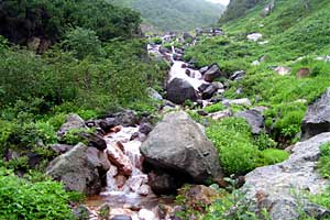 ���P����`������`����`���P���`���P�x | �k�C�����P�x�o�R