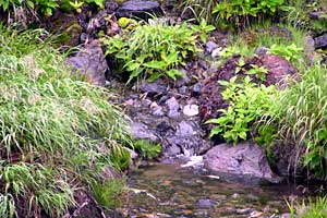 ���P����`������`����`���P���`���P�x | �k�C�����P�x�o�R