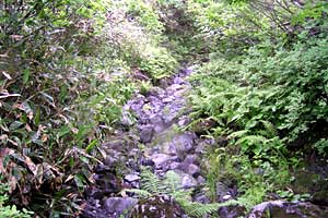 ���P����`������`����`���P���`���P�x | �k�C�����P�x�o�R