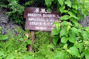 ���P����`������`����`���P���`���P�x | �k�C�����P�x�o�R