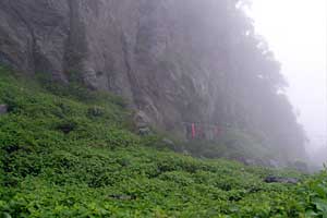 ���P����`������`����`���P���`���P�x | �k�C�����P�x�o�R