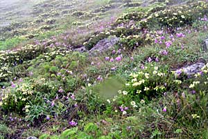 ���P����`������`����`���P���`���P�x | �k�C�����P�x�o�R