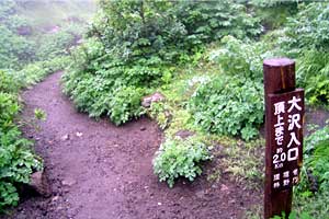 ���P�x�`���P���`��␅�`����ʉ��� | �k�C�����P�x�o�R