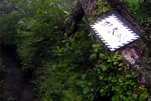 ���P�x�`���P���`��␅�`����ʉ��� | �k�C�����P�x�o�R