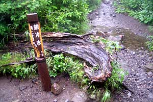 ���P�x�`���P���`��␅�`����ʉ��� | �k�C�����P�x�o�R