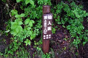 ���P�x�`���P���`��␅�`����ʉ��� | �k�C�����P�x�o�R