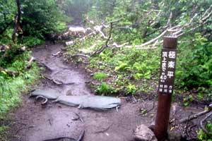 ���P�x�`���P���`��␅�`����ʉ��� | �k�C�����P�x�o�R