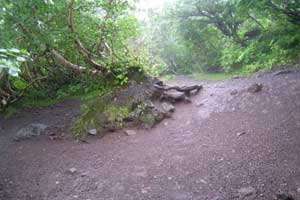 ���P�x�`���P���`��␅�`����ʉ��� | �k�C�����P�x�o�R