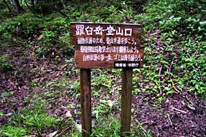 ���P�x�`���P���`��␅�`����ʉ��� | �k�C�����P�x�o�R