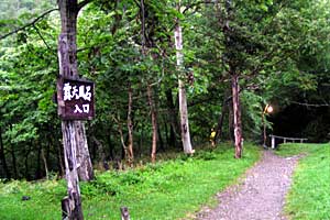 ���P�x�`���P���`��␅�`����ʉ��� | �k�C�����P�x�o�R