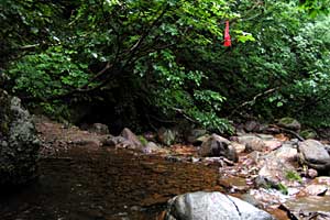 ���x���`����ҁ`�����R�[�X�`���ҁ`�n�̔w�`�Η��x | �k�C���Η��x�o�R