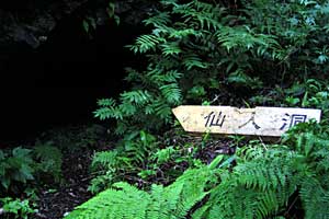 ���x���`����ҁ`�����R�[�X�`���ҁ`�n�̔w�`�Η��x | �k�C���Η��x�o�R