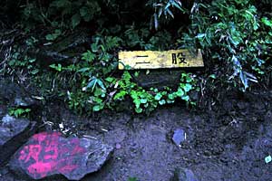 ���x���`����ҁ`�����R�[�X�`���ҁ`�n�̔w�`�Η��x | �k�C���Η��x�o�R