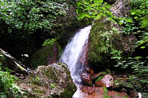 ���x���`����ҁ`�����R�[�X�`���ҁ`�n�̔w�`�Η��x | �k�C���Η��x�o�R