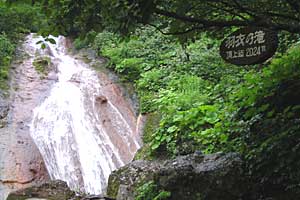 ���x���`����ҁ`�����R�[�X�`���ҁ`�n�̔w�`�Η��x | �k�C���Η��x�o�R