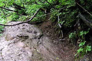 ���x���`����ҁ`�����R�[�X�`���ҁ`�n�̔w�`�Η��x | �k�C���Η��x�o�R