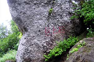 ���x���`����ҁ`�����R�[�X�`���ҁ`�n�̔w�`�Η��x | �k�C���Η��x�o�R