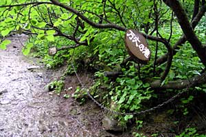 ���x���`����ҁ`�����R�[�X�`���ҁ`�n�̔w�`�Η��x | �k�C���Η��x�o�R