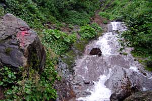 ���x���`����ҁ`�����R�[�X�`���ҁ`�n�̔w�`�Η��x | �k�C���Η��x�o�R