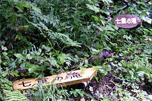 ���x���`����ҁ`�����R�[�X�`���ҁ`�n�̔w�`�Η��x | �k�C���Η��x�o�R