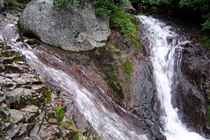 ���x���`����ҁ`�����R�[�X�`���ҁ`�n�̔w�`�Η��x | �k�C���Η��x�o�R