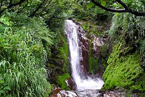 ���x���`����ҁ`�����R�[�X�`���ҁ`�n�̔w�`�Η��x | �k�C���Η��x�o�R