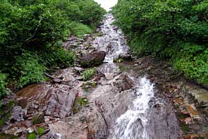 ���x���`����ҁ`�����R�[�X�`���ҁ`�n�̔w�`�Η��x | �k�C���Η��x�o�R