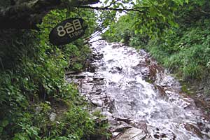 ���x���`����ҁ`�����R�[�X�`���ҁ`�n�̔w�`�Η��x | �k�C���Η��x�o�R