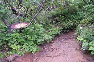 �Η��x�`�n�̔w�`���ҁ`���_�̒r�`�F�����`����ҁ`���x���`�Η��x�o�R�� | �k�C���Η��x�o�R