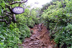 ���x���`����ҁ`�����R�[�X�`���ҁ`�n�̔w�`�Η��x | �k�C���Η��x�o�R