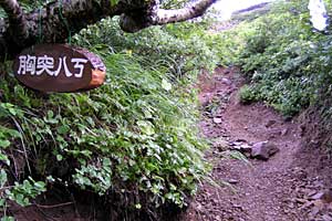 ���x���`����ҁ`�����R�[�X�`���ҁ`�n�̔w�`�Η��x | �k�C���Η��x�o�R