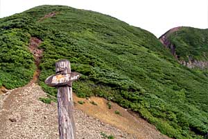 ���x���`����ҁ`�����R�[�X�`���ҁ`�n�̔w�`�Η��x | �k�C���Η��x�o�R